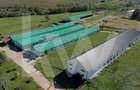 Proprietate industrială cu hale moderne, teren generos și acces Autostrada A1 - 2