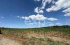 Teren 14.000 mp în Budeasa cu vedere superbă către baraj - 4