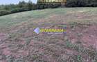 Teren intravilan de vanzare 1300 mp in Sard - 3