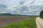 Teren extravilan 18.500 mp in Selimbar / jud. Sibiu - 2