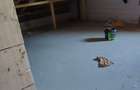Casa..Vila cu 5 camere de vanzare.......Nord Bragadiru..... - 34
