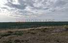 Ferma Agricolă 1.350 Hectare – Grad de Comasare 96–97%, Chișineu Criș, Județul A - 6