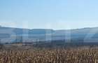Oportunitate: 50 Ha de Teren Ideal pentru Agricultură sau Parc Fotovoltaic - 1