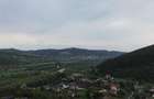 TEREN PREMIUM 5.023 MP ÎN VORONEȚ | BUCOVINA | ZONA MĂNĂSTIR - 25