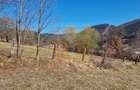 Teren intravilan de 4.000 mp în Bistrița – Alexandru cel Bun - 13