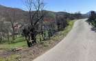 Teren 1,106mp Baia Mare / Strada Firiza - 9