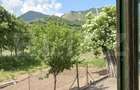 Exclusivitate!!! Casa individuala 173 mp, teren 1687 mp, in Coltesti - 11
