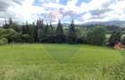 Teren intravilan in Vatra Dornei - 7