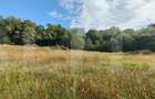 Teren intravilan, 1150 mp, Drumul Sf. Ion, Faget - 7