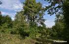 Casa demolabila in sat Gheorghieni (com Feleacu) teren 1547mp intravilan