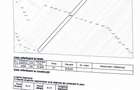 Teren agricol 12.500 mp | Deschidere directă DN61 | Dublu acces | Corbii Mari - 3