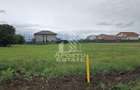 Teren 757 MP Dumbravita- Lac Comision Zero - 3