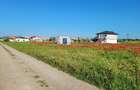 Exclusivitate-Techirghiol, teren intravilan, 305 mp, deschidere la strada de 17m - 10