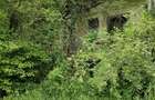 Domeniu verde autentic,  +5.000mp, front la DJ, Valcele, Brasov -- Covasna - 8