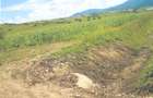 Teren agricol compus din 2 parcele - 6.900 mp, Cartier Sarata - Bistrita - 2