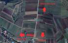 Teren intravilan industrial 7400 MP com. Ilieni , Jud. Covasna - 2