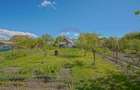 Spatiu Comercial/Afacere si casa de vânzare/zarnesti/Brasov - 4