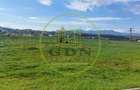 Teren Intravilan  3421 mp , P+3  aprobat, spre vanzare in Turnisor - 4