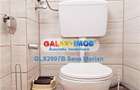APARTAMENT DUBLU DE 5 CAMERE DE INCHIRIAT ROMANA - 19