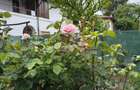 Apartament frumos și cochet cu centrală proprie aproape de Parcul IOR - 31