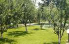 Vila Valea Prahovei Cornu ,piscina interioara, pretabila camin varstnici - 7