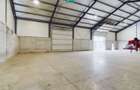 Hală industrială de 538mp Jebel, Timiș - 3