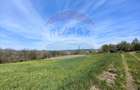 Teren intravilan de vânzare – Copalnic Mănăștur – 3.000 mp - 1