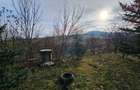 Teren extravilan 10,791mp Falticeni / Strada DJ209A, Opriseni - 11