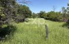 Teren 2.200 mp lângă pădure, la 11 km de Pitești – ideal pentru casă și relaxare - 2
