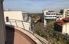 Lovely apartment in the best area of Bucharest-Primaverii - 10