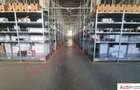 Hale de inchiriat - Ecom Logistic Center - 3