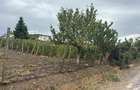Vand  teren intravilan in Valea Călugărească, parcela excelenta pentru  locuinta - 4