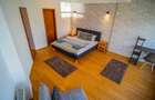 Apartament 2 camere, inchiriere lunga durata, Herastrau - 11
