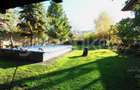 Vila individuala cu 7 camere | piscina | 1000mp teren - 2