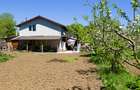 Casă P+1 cu teren de 1.769 mp, aproape de Titu – Săvești, Braniștea, Dâmbovița - 8