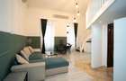 Apartament ultracentral tip Loft - 3