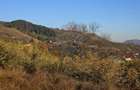 Teren 6,874mp Alexandru cel Bun / Strada plopusor - 17