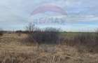 Teren intravilan 13800 mp - Centura de Nord Arad - 3