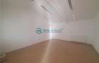 Royal Imobiliare - Inchiriere Spatiu Industrial zona Vest - 10