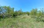 Teren 2160 mp | Panoramă | Zonă liniștită Pâclișa - 2