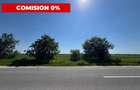 Teren agricol 12.500 mp | Deschidere directă DN61 | Dublu acces | Corbii Mari - 6