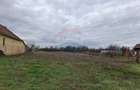 Teren intravilan 1,241mp Frumușeni, Arad - 4