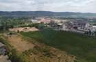 Teren de vanzare, zona cu acces rapid la autostrada, Campia Turzii - 11