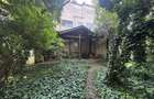 Proprietate unica la Grădina Icoanei - 19