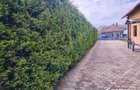 Casa premium in Iara, 1000 mp teren – lux la pret corect - 4