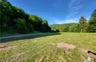 Teren Intravilan 12000 mp, Cascada Urlatoarea, proiect aprobat pentru Resort, la - 13
