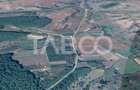 Teren extravilan de 4991 mp la strada principala in Sura Mare - 2