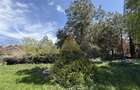 CORBEANCA LAC | OPORTUNITATE - VILA INDIVIDUALA CU TEREN 1200 mp - 5