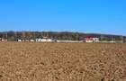 Teren intravilan 13175mp utilitati Ciolpani Strada Alunisului - Padurea Snagov - 9