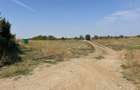 TEREN DE VÂNZARE ÎN OTOPENI – PUTNA/ PUZ APROBAT | DESCHIDERE LA 2 STRĂZI - 3